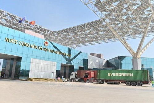 暢通跨境動脈 促進越南與中國地方間進出口貨物通關與國內貿易代理發展